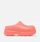Coral Blossom