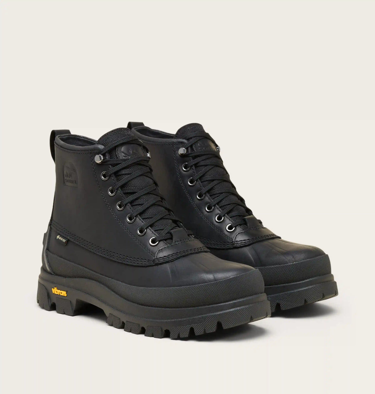 Daystorm Horizon™ GTX Men's Boot